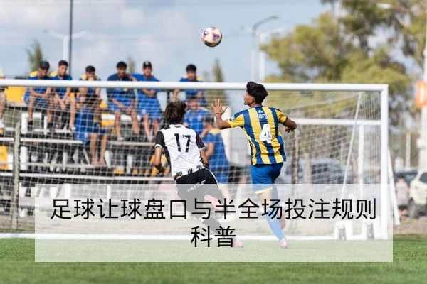 CBA常规赛轮换与首发篮板率对胜率影响